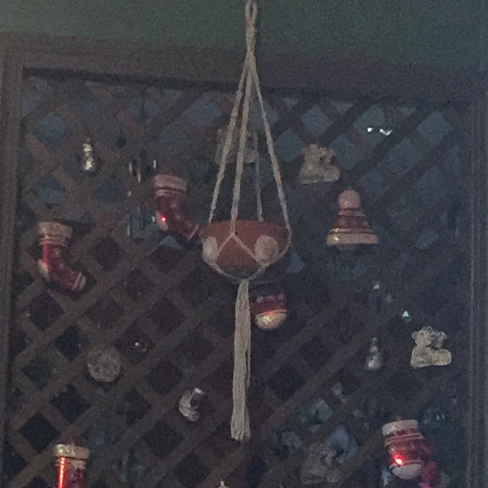 Hanging flower pot